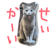 877037591