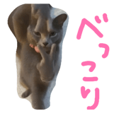 877037592
