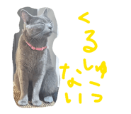 877037595