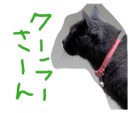 877037606