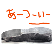 877037607