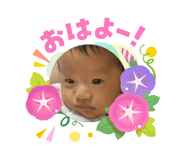 877055536