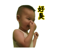 877070852