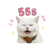 877087273