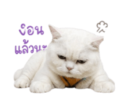 877087276