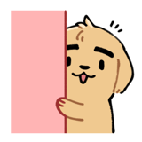 877096111