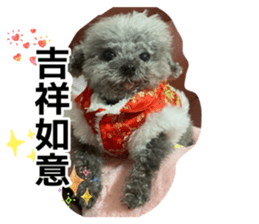 877102253