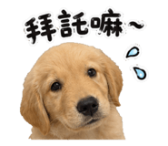 877111434