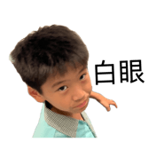 877113086
