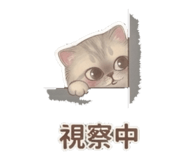 877118018