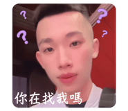 877119329