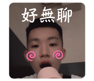 877119331