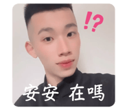 877119333