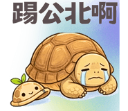 877120039