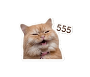 877165668