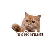 877165676