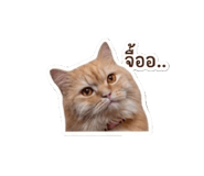 877165679