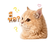 877168359