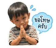 877168811