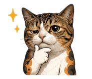 877169537