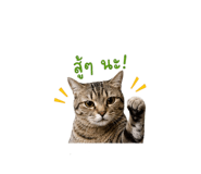 877170785
