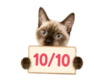877170818