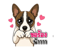 877186336
