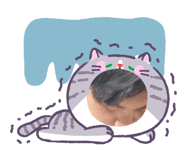 877187442