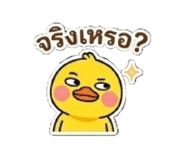 877206971