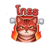 877214243