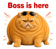 877224680