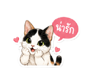 877224803