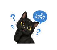 877224806