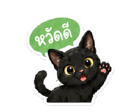 877224808