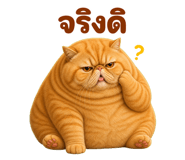877224898