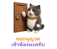 877225023