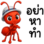877225236