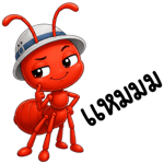 877225240