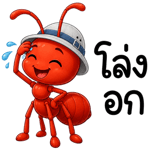 877225243
