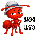 877225254