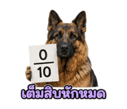 877225567