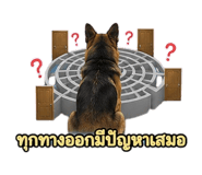 877225729