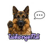 877225730