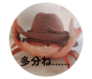 877231723