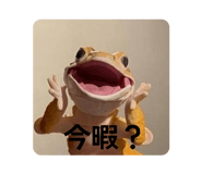 877231728