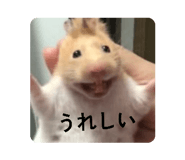 877231730