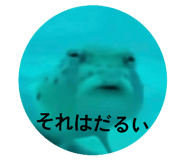 877231732