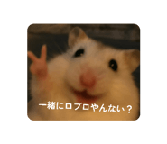 877231735