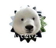 877231744
