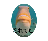 877231748